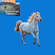 chevaux